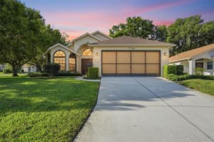 11298 Copley Ct, SPRING HILL