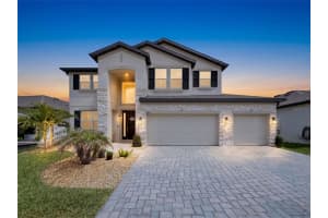 33163 Sycamore Leaf Dr, WESLEY CHAPEL