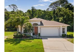11448 Merganser Way, NEW PORT RICHEY