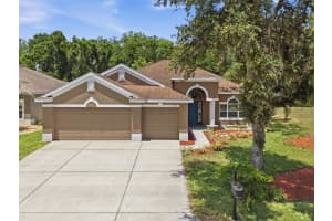 11143 Ragsdale Ct, NEW PORT RICHEY 11143 Ragsdale Ct, NEW PORT RICHEY