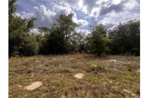 7095 N Foxdale Dr, CITRUS SPRINGS 7095 N Foxdale Dr, CITRUS SPRINGS