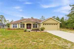 13056 Painted Bunting Ave, WEEKI WACHEE 13056 Painted Bunting Ave, WEEKI WACHEE