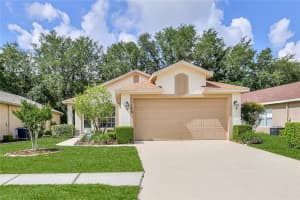 11148 Heathrow Ave, SPRING HILL