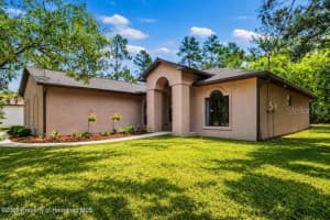 8330 Cockatoo Rd, WEEKI WACHEE 8330 Cockatoo Rd, WEEKI WACHEE