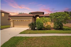 107 Silver Falls Dr Dr, APOLLO BEACH