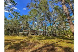 14209 Tayco Dr, WEEKI WACHEE 14209 Tayco Dr, WEEKI WACHEE