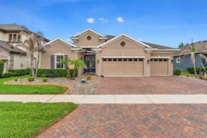 8142 Water Color Dr, LAND O LAKES 8142 Water Color Dr, LAND O LAKES