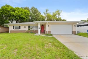 611 Patricia Ave, DUNEDIN