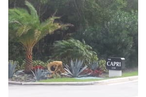 5250 N Ocean Drive 8n, Riviera Beach