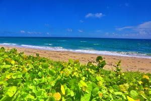 3230 S Ocean Boulevard D308, Palm Beach