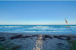 7440 S Ocean Drive 424, Jensen Beach