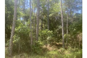 Tbd Ne 155 Lane, Fort Mc Coy