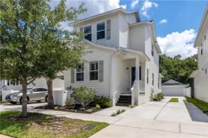 11217 Moultrie Place, Tampa
