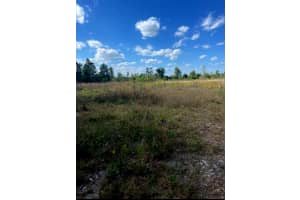 1108306 Oil Well Road, Clermont