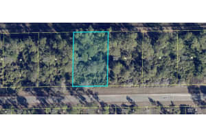 1113 Capri Street E, Lehigh Acres