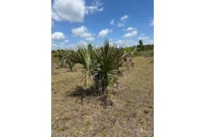 18134 Nw 298th Street, Okeechobee 18134 Nw 298th Street, Okeechobee