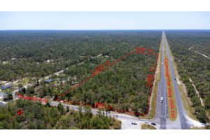 Xxx Thrasher Avenue, Weeki Wachee