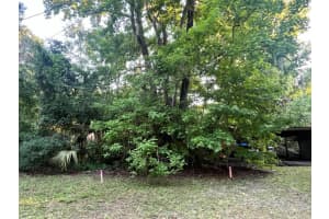 8874 W White Dogwood Drive, Homosassa