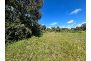 16841 Nw 300th Street, Okeechobee