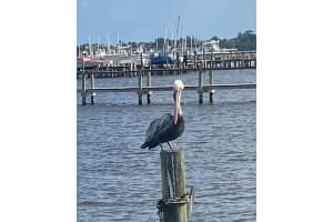 175 Se St Lucie Boulevard A-96, Stuart