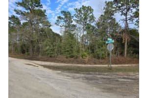 0 Sw 80th Street, Dunnellon