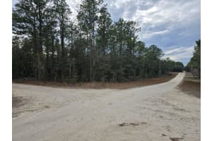 0 Sw 76th Lane, Dunnellon