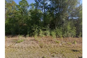 20313 Sw Audubon Avenue Lot 29, Dunnellon