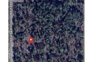 0 Se Southeast 134 Court, Dunnellon