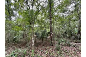 Tbd Nw 65th Street, Ocala