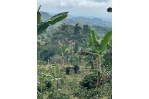 Colombia El Hatillo, Mariquita, Tol, Co, Other