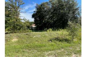 Tbd Sw 104th Street, Dunnellon