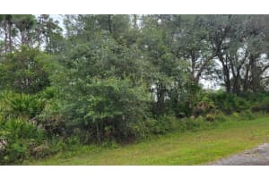 0 Plumosa Drive, Indian Lake Estates