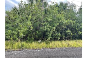 755 Wisham Street Sw, Palm Bay