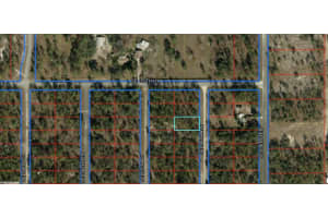 0 Se 136th Avenue, Dunnellon