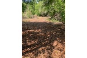 17774 Nw 254th Street, Okeechobee