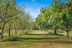 3057 D Road, Loxahatchee Groves, Fl 33470, Loxahatchee