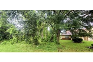 112 Ryberry Drive, Palm Coast