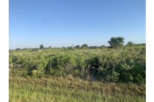 19142 Nw 264th Street, Okeechobee