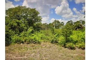 8013 Buttercup Circle, Labelle