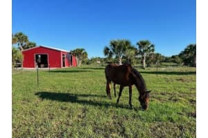 1303 Cabbage Lane, Okeechobee