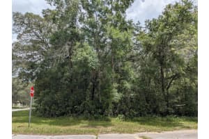 8989 N Conch Terrace, Dunnellon