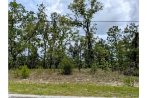 2450 W Rutland Drive, Citrus Springs