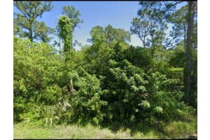 111 Suwannee Lane, Lake Placid