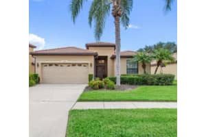 128 Silver Falls Drive, Apollo Beach