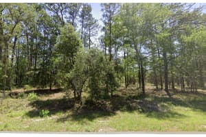 Tbd Nw Ridgewood Road, Dunnellon