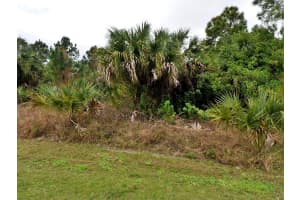 0 Dinsmore Street, North Port