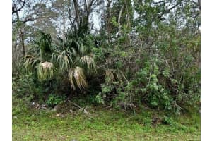 0 Nw 61st Street, Ocala