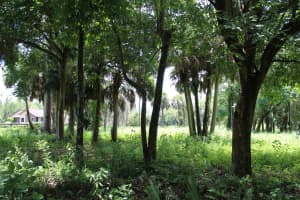 1275 Arabian Drive, Loxahatchee