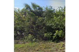 886 Bitlis Street Sw, Palm Bay