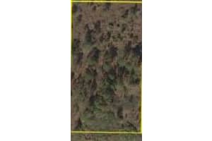 17923 Nw 298th Street, Okeechobee 17923 Nw 298th Street, Okeechobee